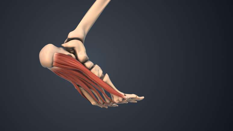 Problemas com a fáscia, o tecido conjuntivo da sola do pé, são geralmente conhecidos como fascite plantar