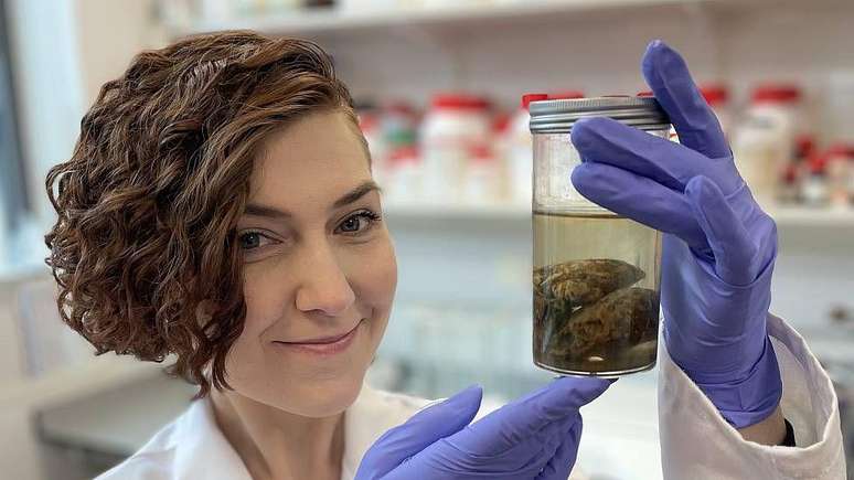 'Estudar c&eacute;rebros antigos pode nos ajudar a entender o desenvolvimento e a natureza progressiva da dem&ecirc;ncia'