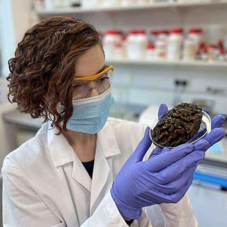 Alexandra Morton-Hayward com o c&eacute;rebro antigo favorito dela, apelidado de Rusty