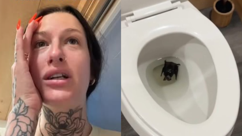 The influencer finds bats in the vase and will end up in the hospital for fear of anger