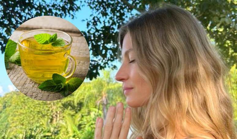 Benefícios do chá de erva cidreira: receita queridinha de Gisele Bündchen alivia gases, inchaço e é um excelente calmante.
