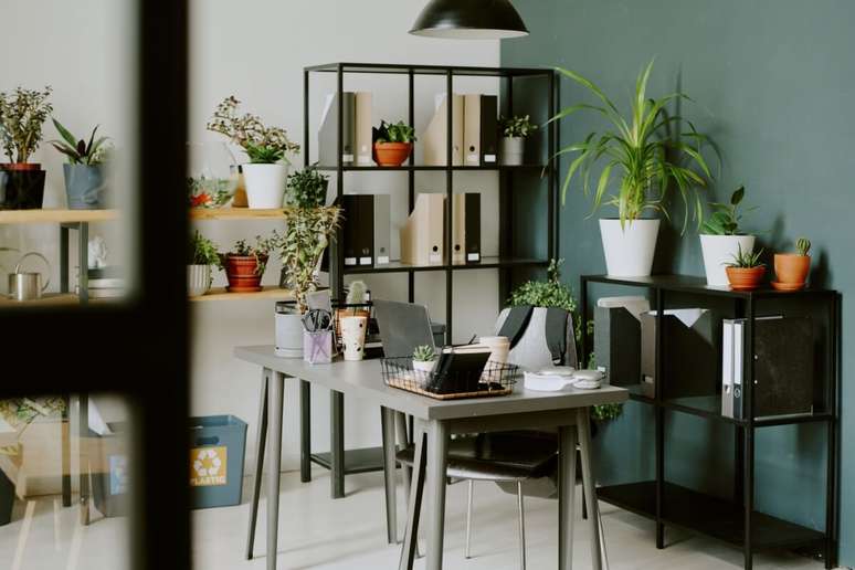 O design biof&iacute;lico deve possuir funcionalidade 