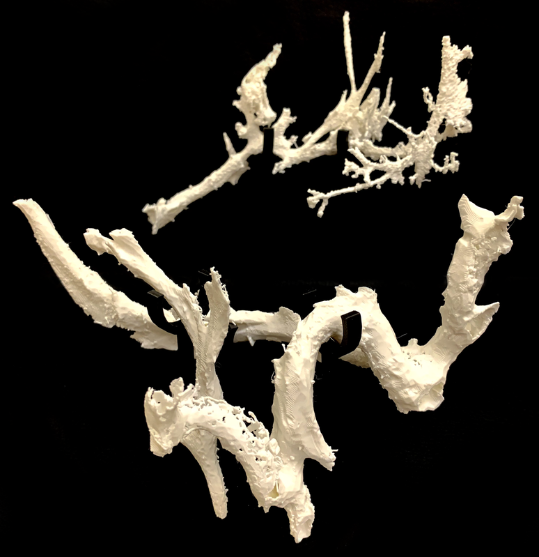 Fragmentos &oacute;sseos impressos em 3D