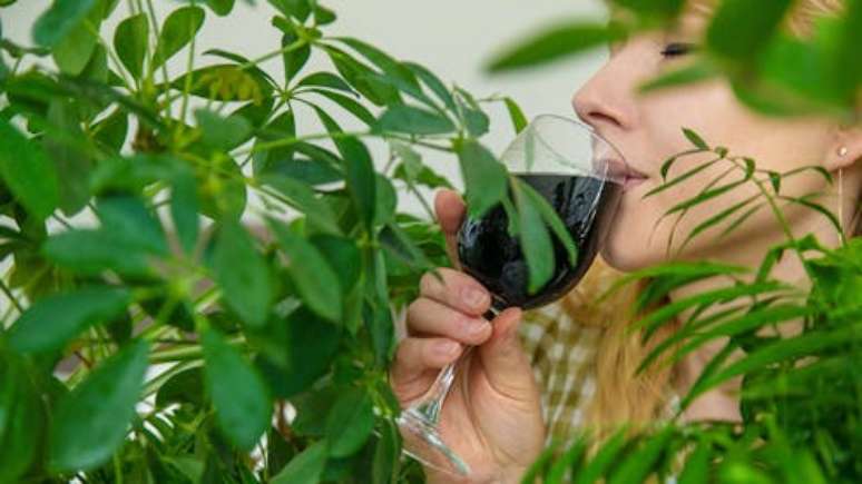 A menos que você seja a Hera Venenosa do Batman, provavelmente não precisa se abastecer de clorofila. E, a menos que sua dieta seja deficiente, você também não precisa comprar pós ou cremes de colágeno. Ame a pele em que você se encontra. É melhor do que ficar verde como a Elphaba de Wicked. Tatevosian Yana/Shutterstock