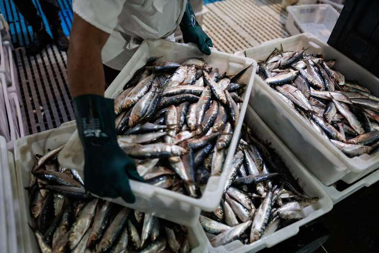 Setor de pescados brasileiro &eacute; um dos afetados pelo tarifa&ccedil;o