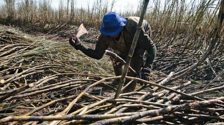 Brasil &eacute; o principal exportador de a&ccedil;&uacute;car do mundo