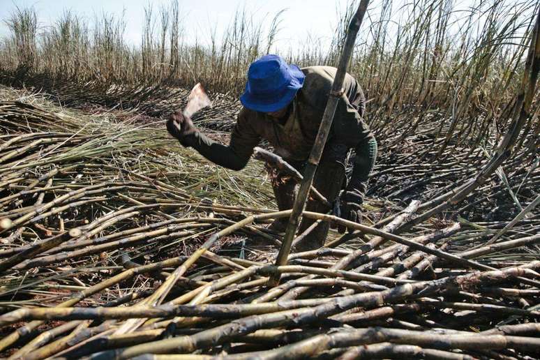 Brasil é o principal exportador de açúcar do mundo