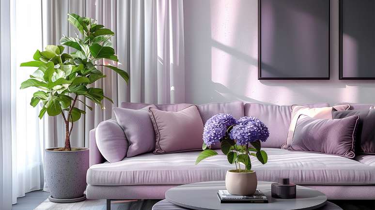 Do you know the power of the nine care of Feng Shui?