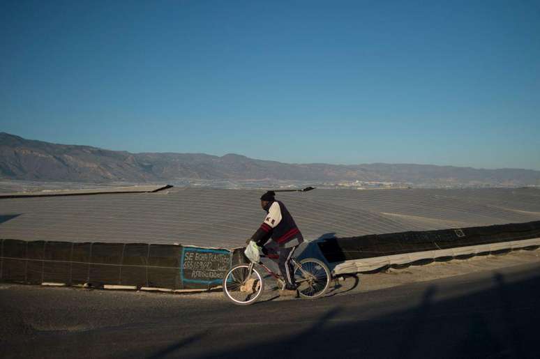 Grande parte da for&ccedil;a de trabalho em estufas &eacute; composta por migrantes, muitos dos quais v&ecirc;m do Norte da &Aacute;frica