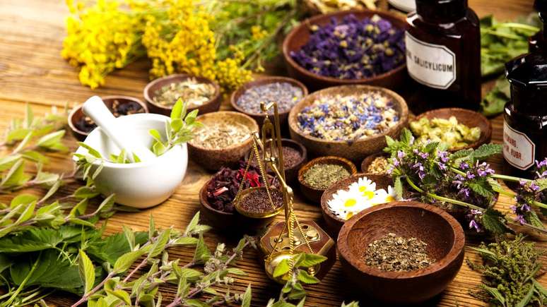 What are medicinal plants for and what are they for? Discover!