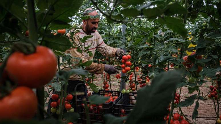 Institui&ccedil;&otilde;es ambientais fazem um apelo para que seja realizada uma avalia&ccedil;&atilde;o da produ&ccedil;&atilde;o em Almeria, de modo que seja sustent&aacute;vel