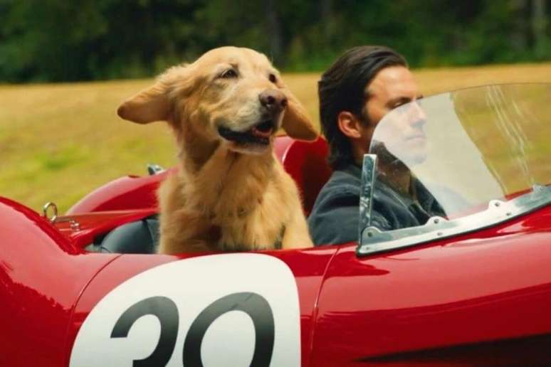 &ldquo;A Arte de Correr na Chuva&rdquo; acompanha a trajet&oacute;ria de um cachorro que aprende sobre o que significa ser humano ao lado de um piloto de corridas 