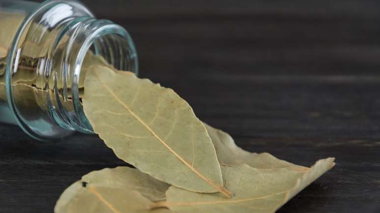 Ritual com louro e canela para atrair abundância