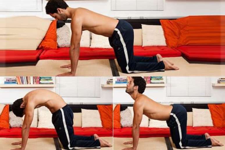 Bidalasana &mdash; gato e vaca