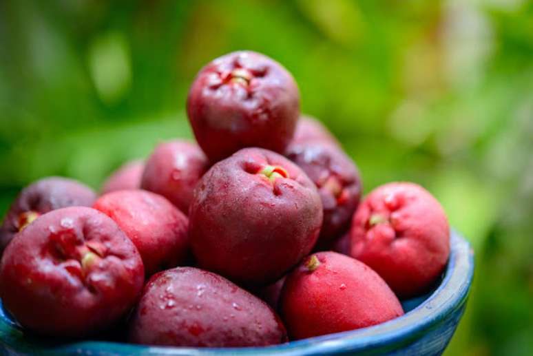 Jambo is good for what? Know the benefits