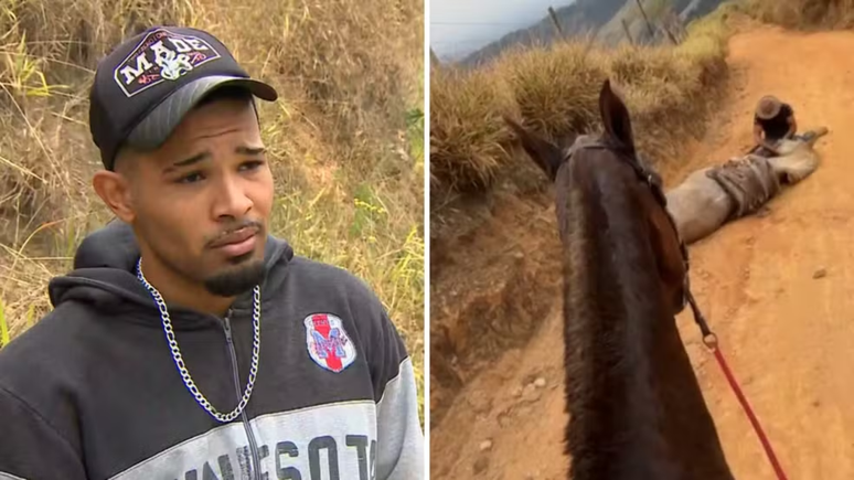 'Cortei por cortar', diz homem que mutilou patas de cavalo no interior de S&atilde;o Paulo