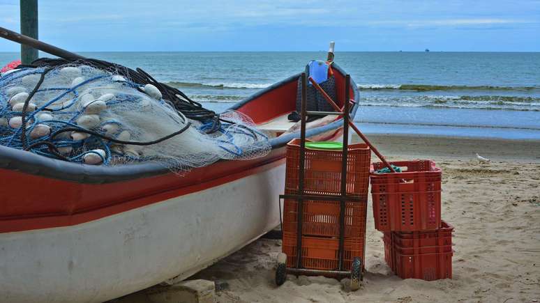 Apesar de vasto, litoral do Brasil n&atilde;o tem peixes em abund&acirc;ncia