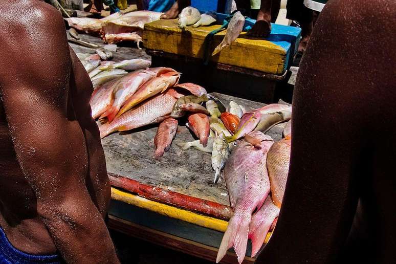 Peixes vermelhos como pargo, cioba e guai&uacute;ba s&atilde;o bastante exportados