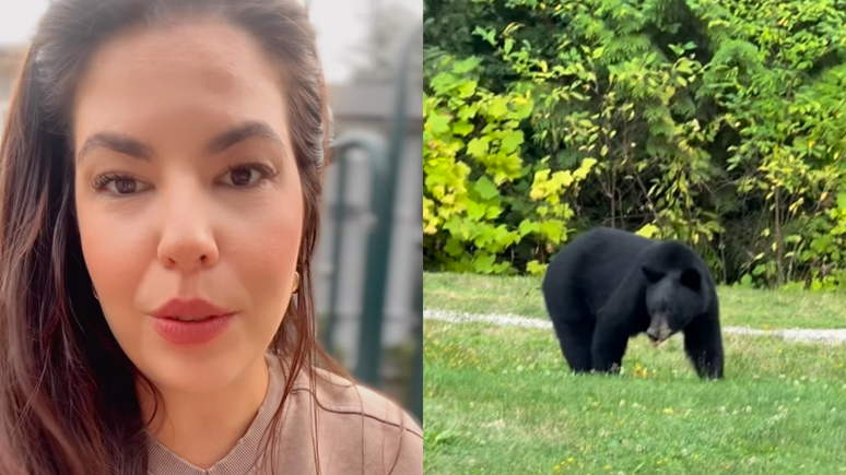 The Brazilian is on the island with his son in a park toy after finding a bear