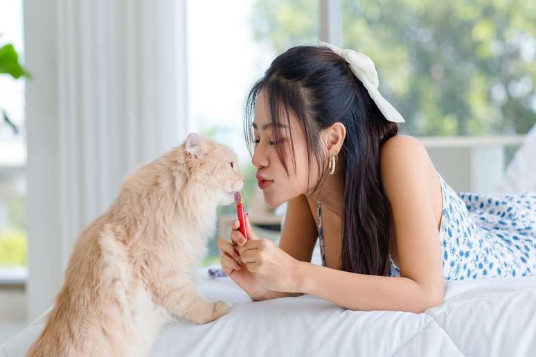 Mimo &eacute; um nome perfeito para felinos que adoram ficar no colo, ronronam com facilidade e expressam afeto de forma discreta e constante 