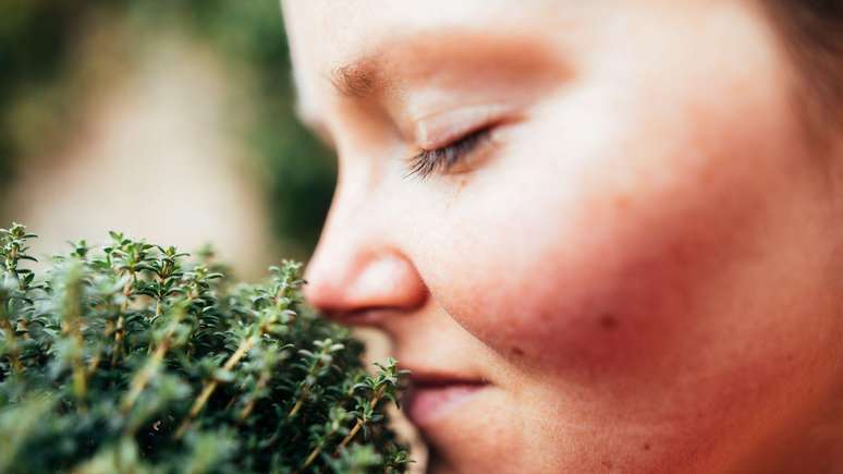 As pessoas com hiperosmia t&ecirc;m o sentido do olfato superdesenvolvido