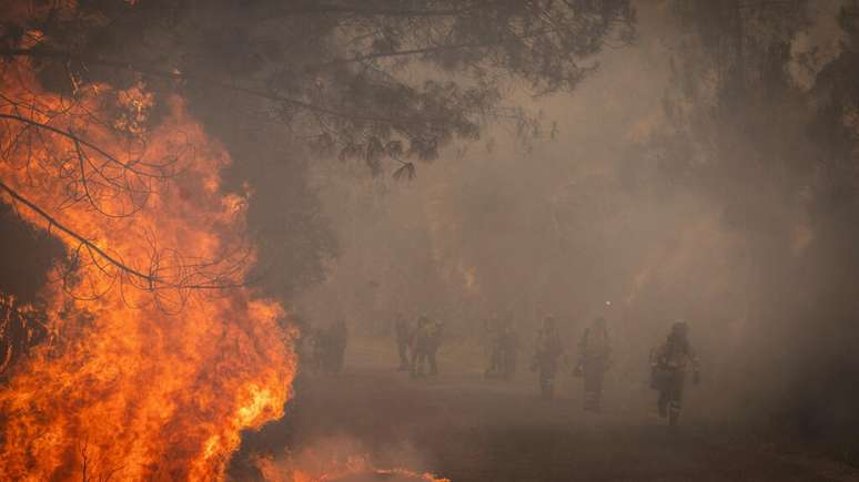 The wave of forest fires in Spain generates a national emergency