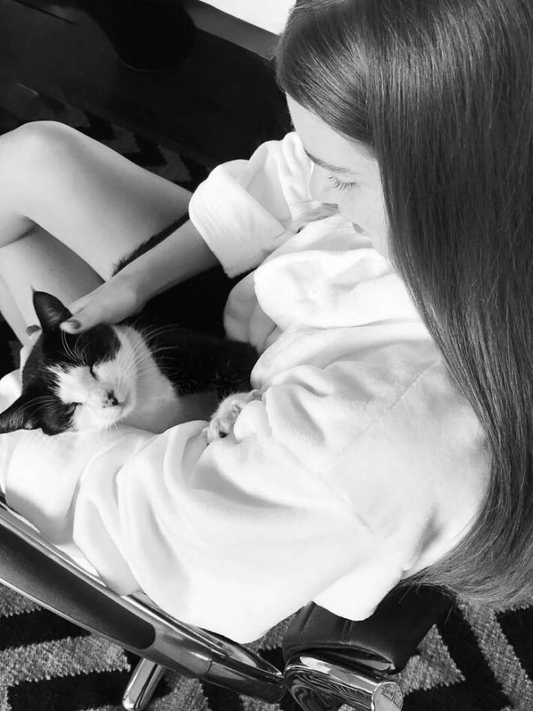 Marina Roy Barbosa’s cat disappears, asks for help and air intakes: “My emotional support”