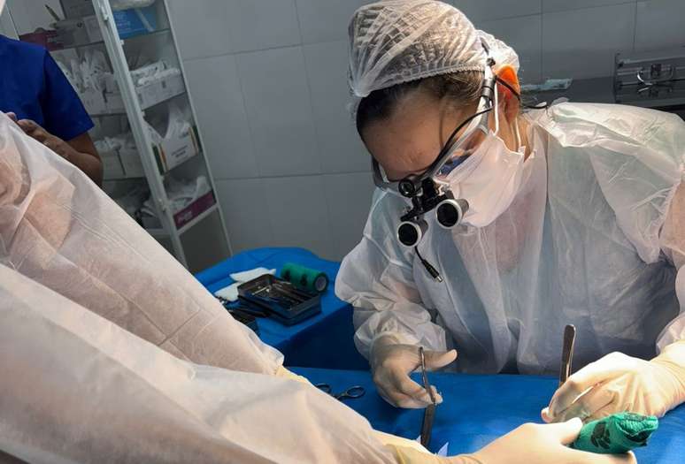 Arara-canind&eacute; sendo operada por especialistas da Naturantins