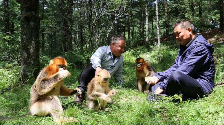 Stephen e o professor Yang com os macacos