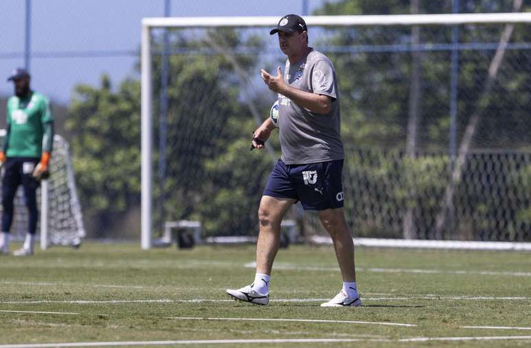T&eacute;cnico Rog&eacute;rio Ceni tem desfalques, mas conta com importante retorno no Bahia &ndash;