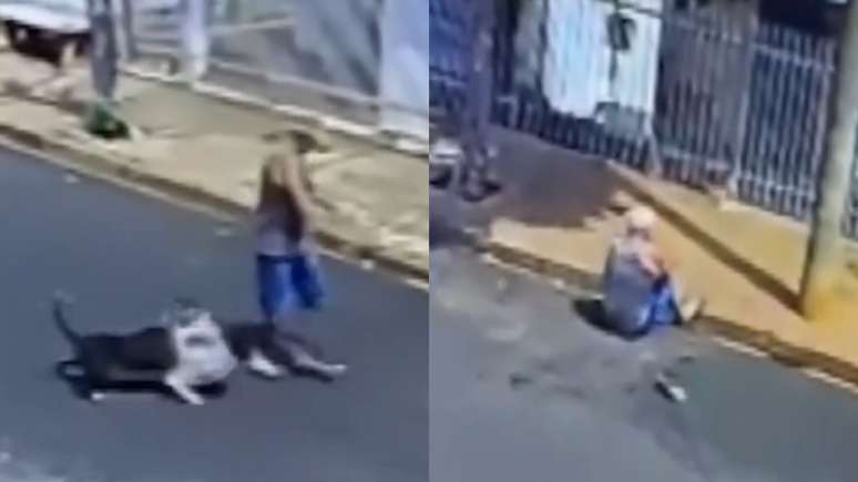 Idoso sofre ataque de Pitbull