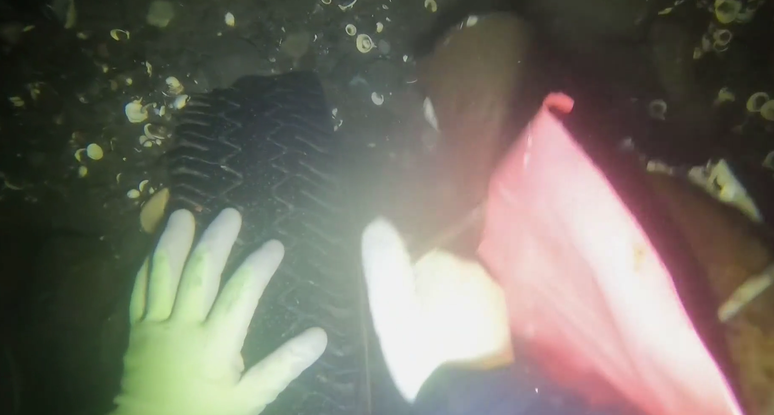 Mergulho de Archer Mayo exibido durante transmiss&atilde;o da KGW8