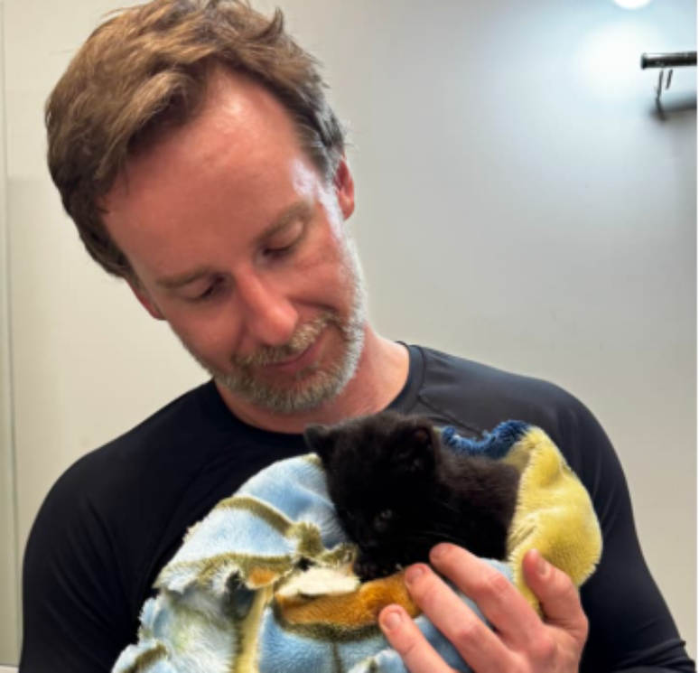 Filhote raro de gato-do-mato melânico é resgatado em SC