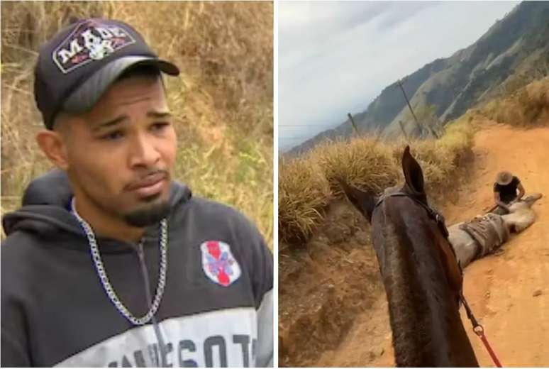 Horror! The report confirms that the horse was still alive when mutilated its legs Horror! The report confirms that the horse was still alive when mutilated its legs