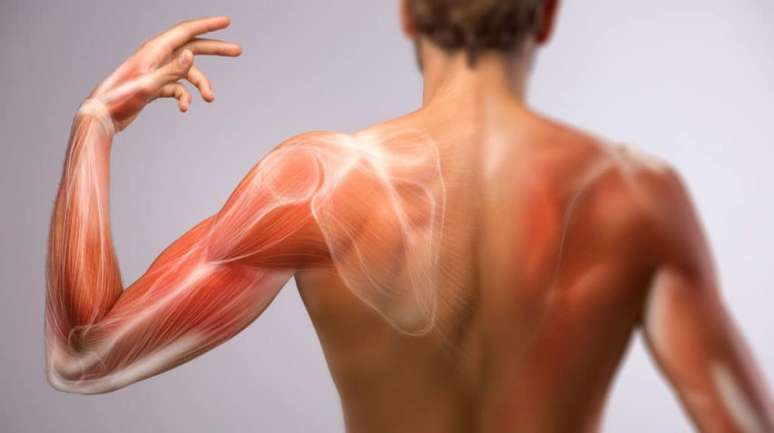 After the ozepic, the toning muscles become a tendency to treatment of the body