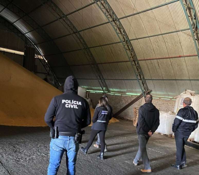 Thousands of tons of illegal seeds are taken from the Gaucho camp Thousands of tons of illegal seeds are taken from the Gaucho camp
