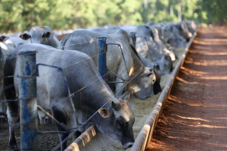 Ao parar de exportar para os EUA, cai a oferta também dos cortes traseiros, considerados mais nobres, bastante consumidos no Brasil