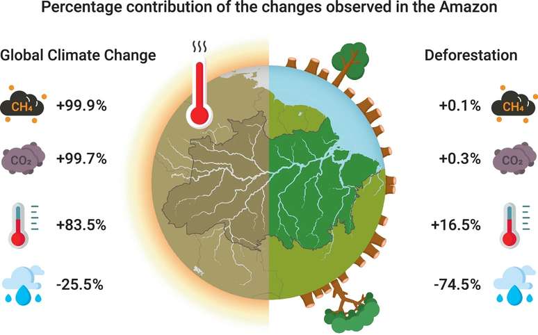 Gr&aacute;fico mostra a mudan&ccedil;a sofrida na regi&atilde;o da Amaz&ocirc;nia e suas fontes de origem
