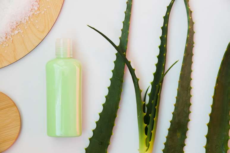 Discover the power of Aloe Vera in the medicinal care of the skin Discover the power of Aloe Vera in the medicinal care of the skin
