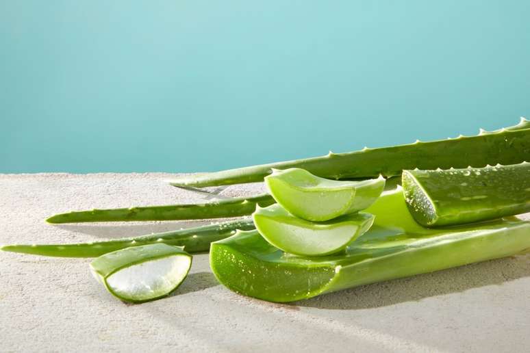5 Benefits of Aloe Vera on the skin