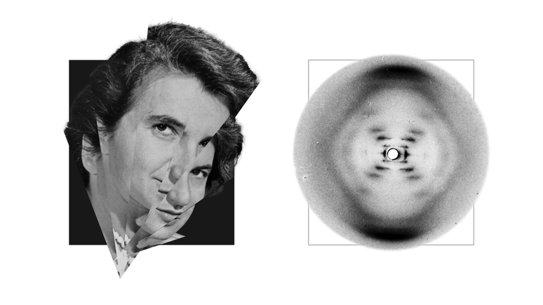 A imagem de difra&ccedil;&atilde;o de raios X de Rosalind Franklin foi fundamental para identificar a estrutura de dupla h&eacute;lice do DNA