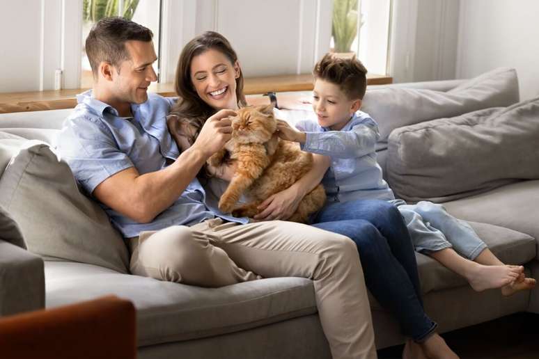 12 perfect names for affectionate cats