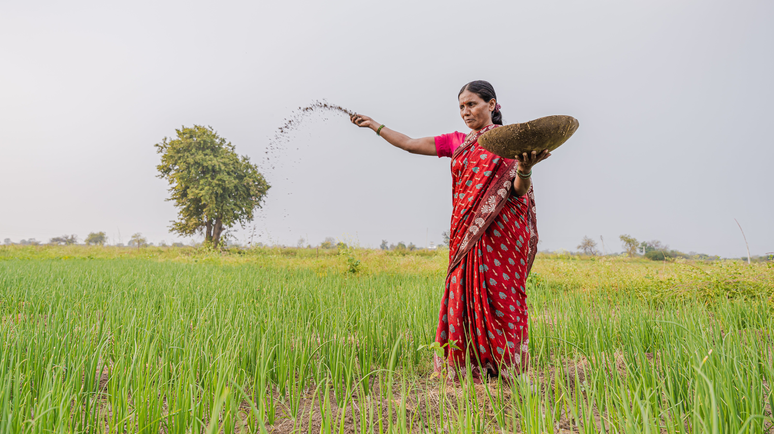Uma mulher com um sari vermelho lan&ccedil;a pellets em um campo de arroz.