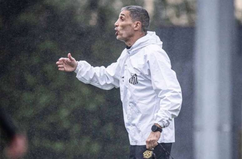 Vojvoda promotes tests in the formation of Santos