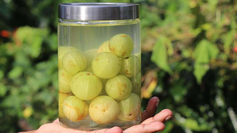 O sabor da groselha indiana &eacute;, digamos, intenso. Sua conserva&ccedil;&atilde;o em &aacute;gua salgada ajuda a suaviz&aacute;-lo, tornando a fruta mais agrad&aacute;vel ao paladar.