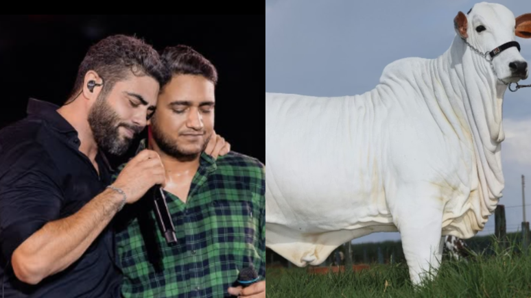 OH! The cattle Henrique and Juliano cost $ 4.2 million