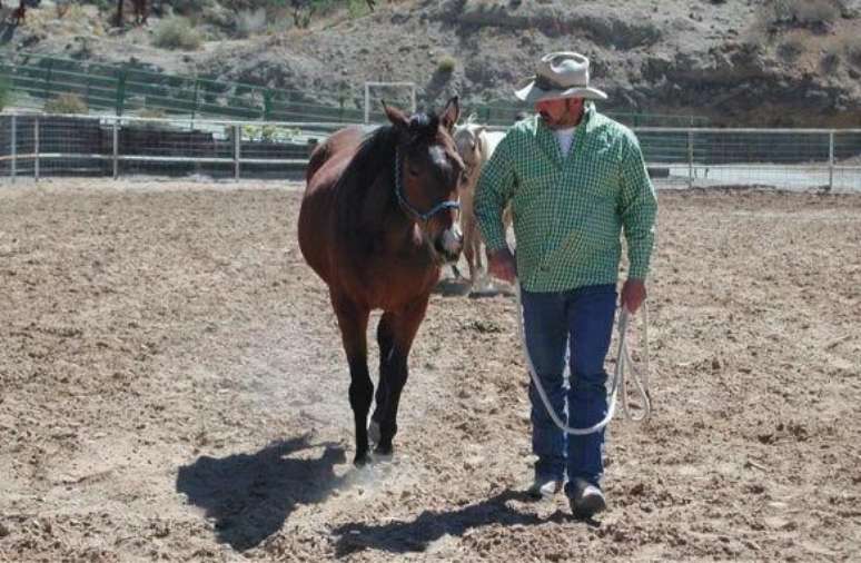 Harold Dillard usava chap&eacute;u de cowboy e cal&ccedil;as jeans quase todos os dias