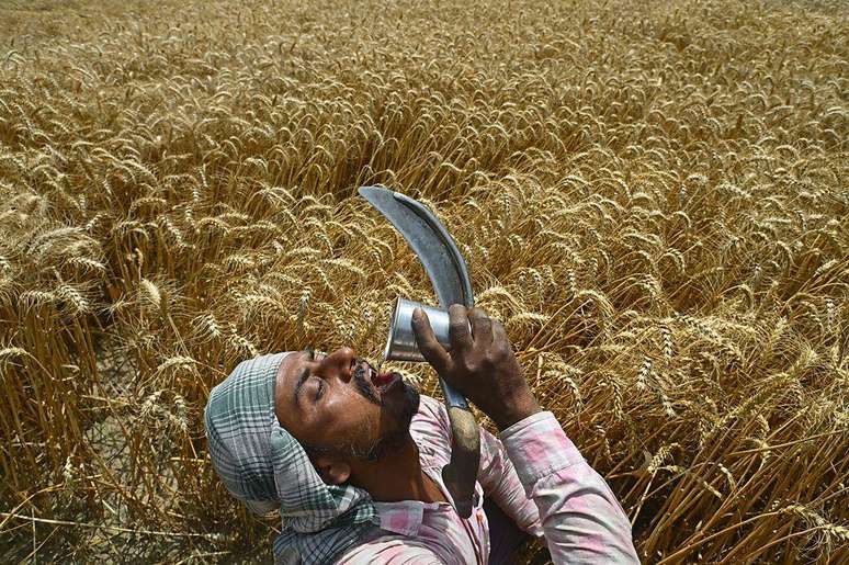 Trabalhador bebe &aacute;gua de um copo met&aacute;lico, segurando uma foice, em um campo de trigo