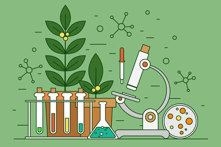 As quest&otilde;es de biologia costumam envolver principalmente os temas de ecologia, gen&eacute;tica, anatomia e fisiologia humana 