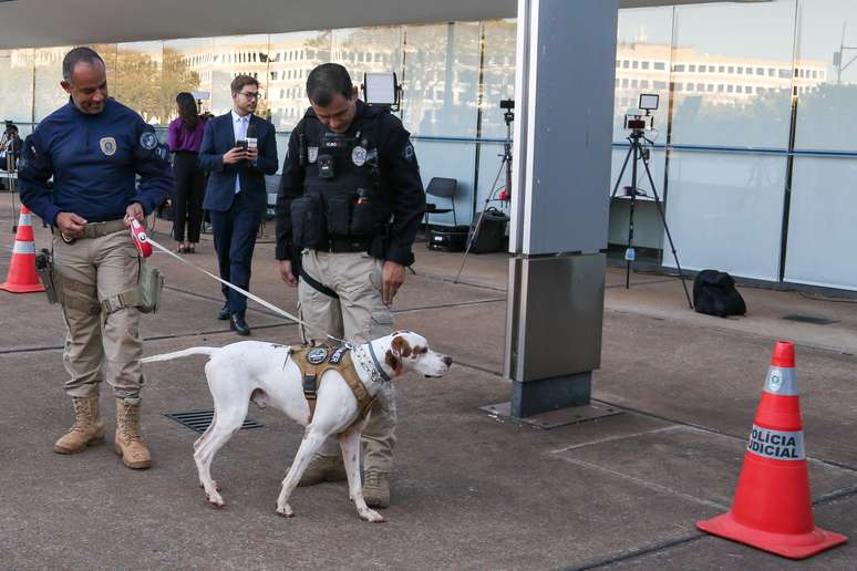 Cães farejadores são usados para reforçar a segurança do STF no 3º dia do julgamento do julgamento do ex-presidente Jair Bolsonaro (PL).